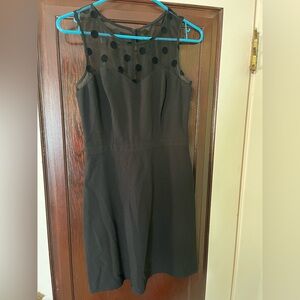 LC Lauren Conrad Black Dress with Polka Dot Mesh